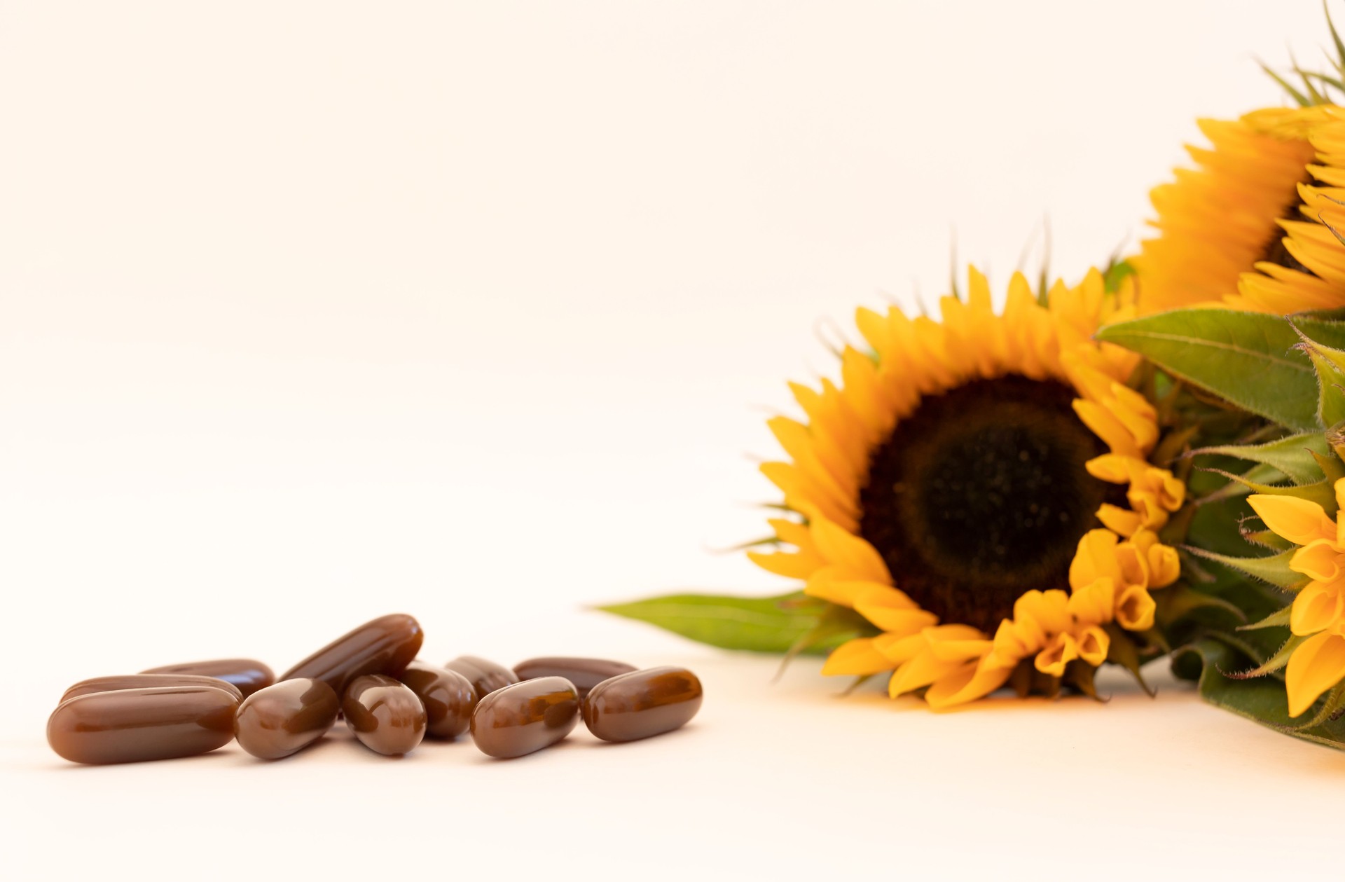 Mockup Sunflower Lecithin Brown Softgel Pill, Capsule On White Beige Background with Sunflowers. Copy Space for Text. Vitamin, Dietary Supplements. Lecithin Benefits Design. Horizontal Plane